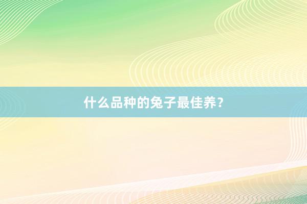 什么品种的兔子最佳养？